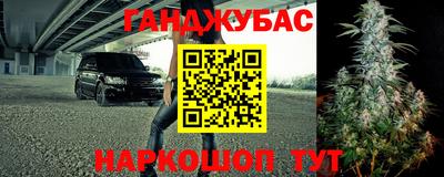 Альфа ПВП Кингисепп