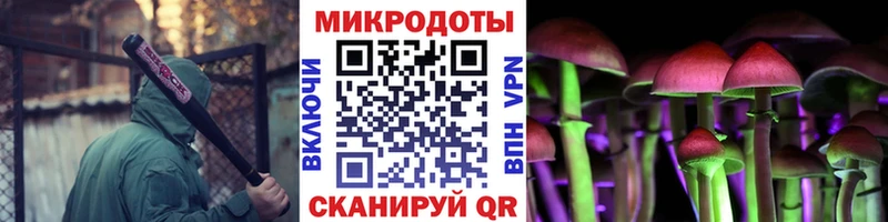 Псилоцибиновые грибы мицелий  Мурманск 
