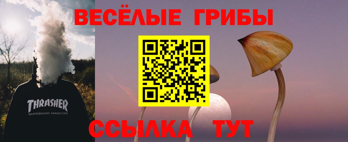 Псилоцибиновые грибы мицелий  Вход с VPN  Псилоцибиновые грибы прущие грибы  Мурманск 